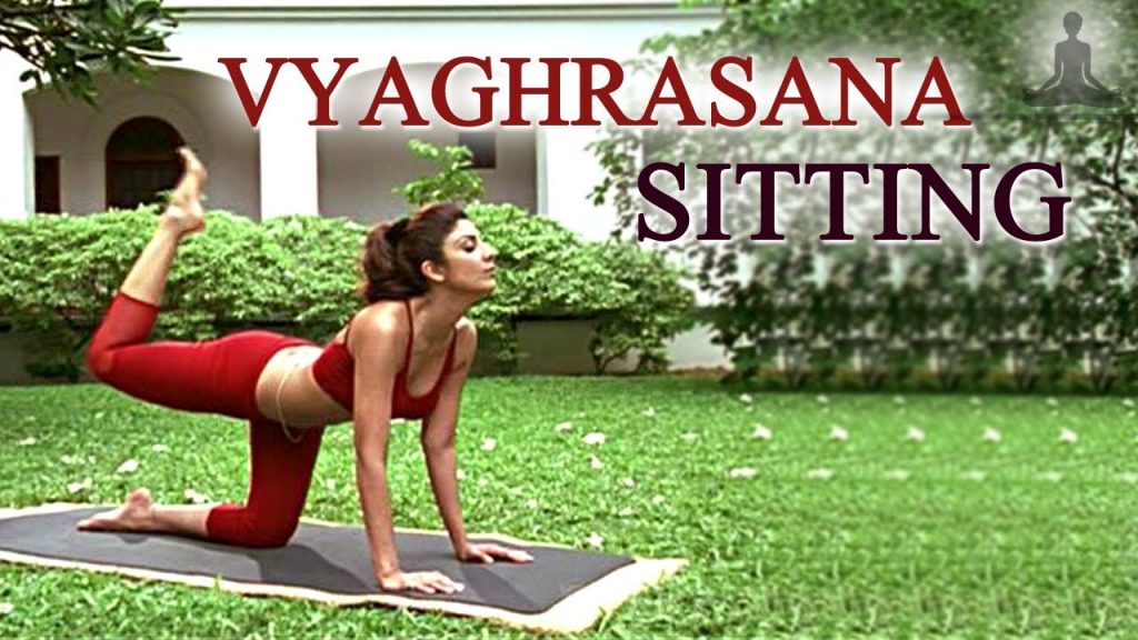 Vyaghrasana Shilpa Shetty Weight Loss Yoga