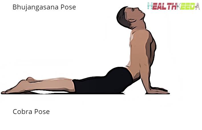 Bhujangasana - Cobra Pose by Male