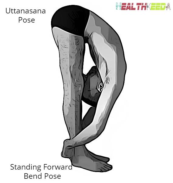Uttanasana - Standing Forward Bend Pose by Male