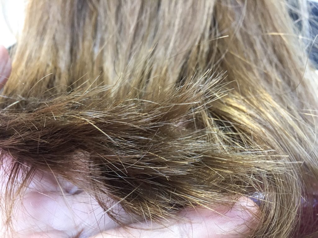 Split End Hair Example
